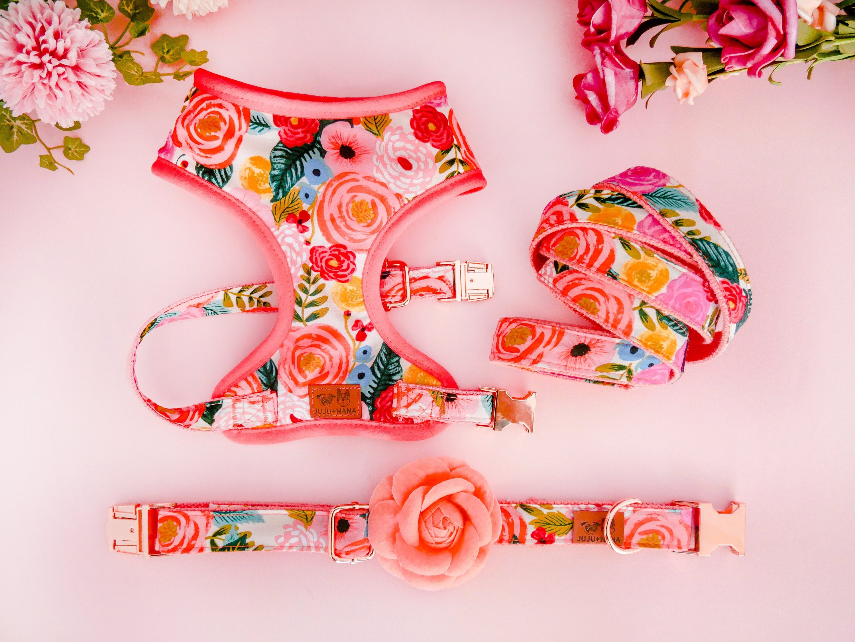 Rifle Paper Co Juliet Dog Harness Set in Cream - Adjustable Pet Harness for Small to Medium Dogs, Perfect for Walks, Hikes & Outdoor Adventures