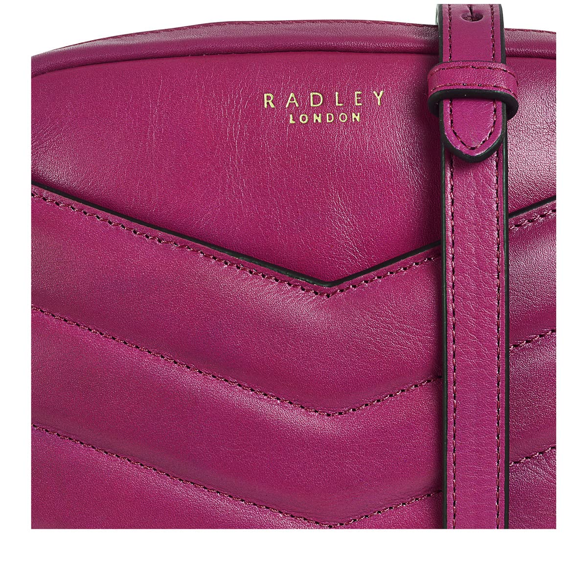 RADLEY London Gordon Road Mini Ziptop Crossbody Bag - Stylish & Compact Purse for Women, Perfect for Everyday Use, Travel & Shopping
