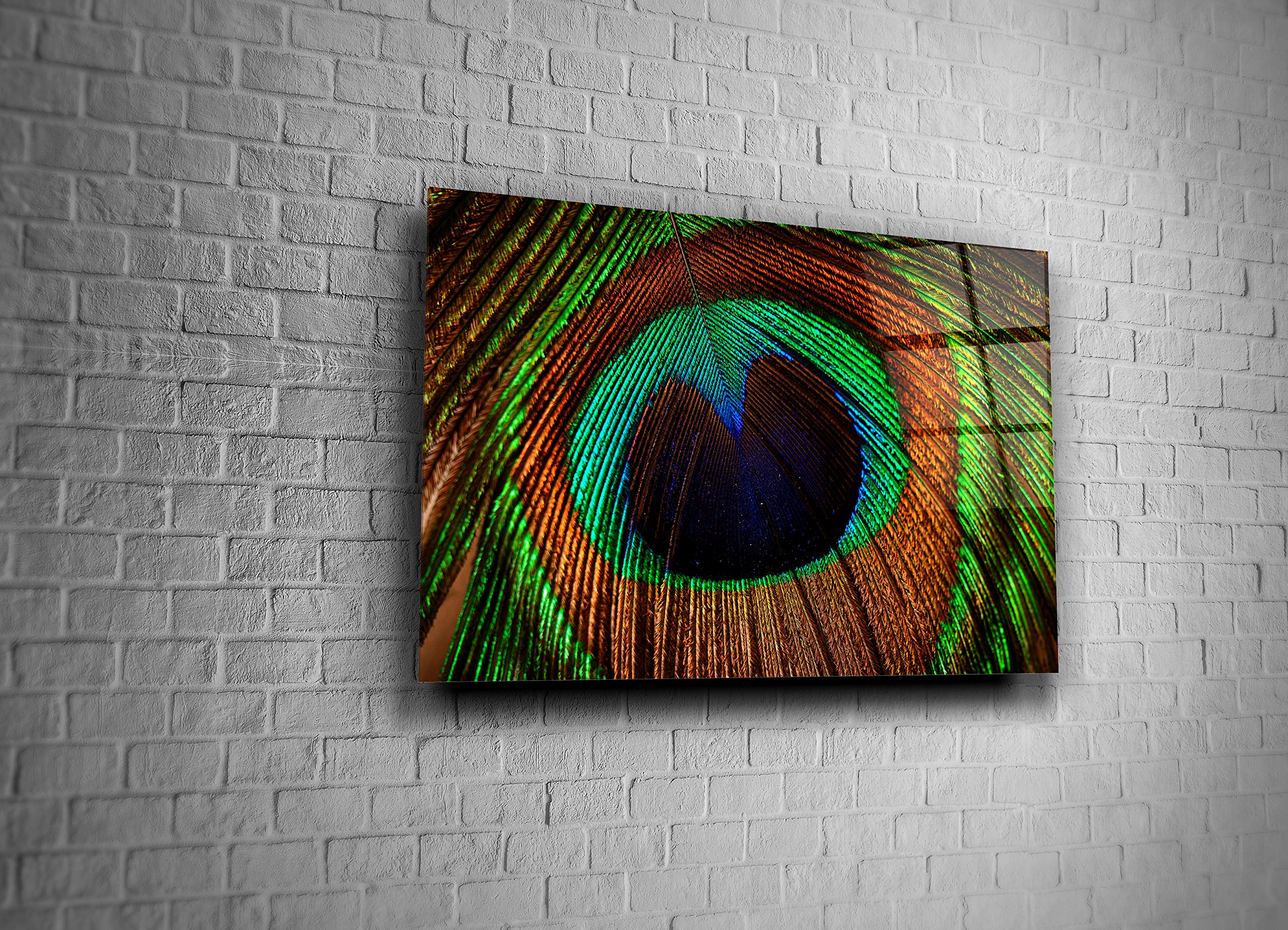 Peacock Feather Nature Bird Decor Print - Tempered Glass Wall Art for Home & Office Decor - Perfect Gift for Bird Lovers & Nature Enthusiasts