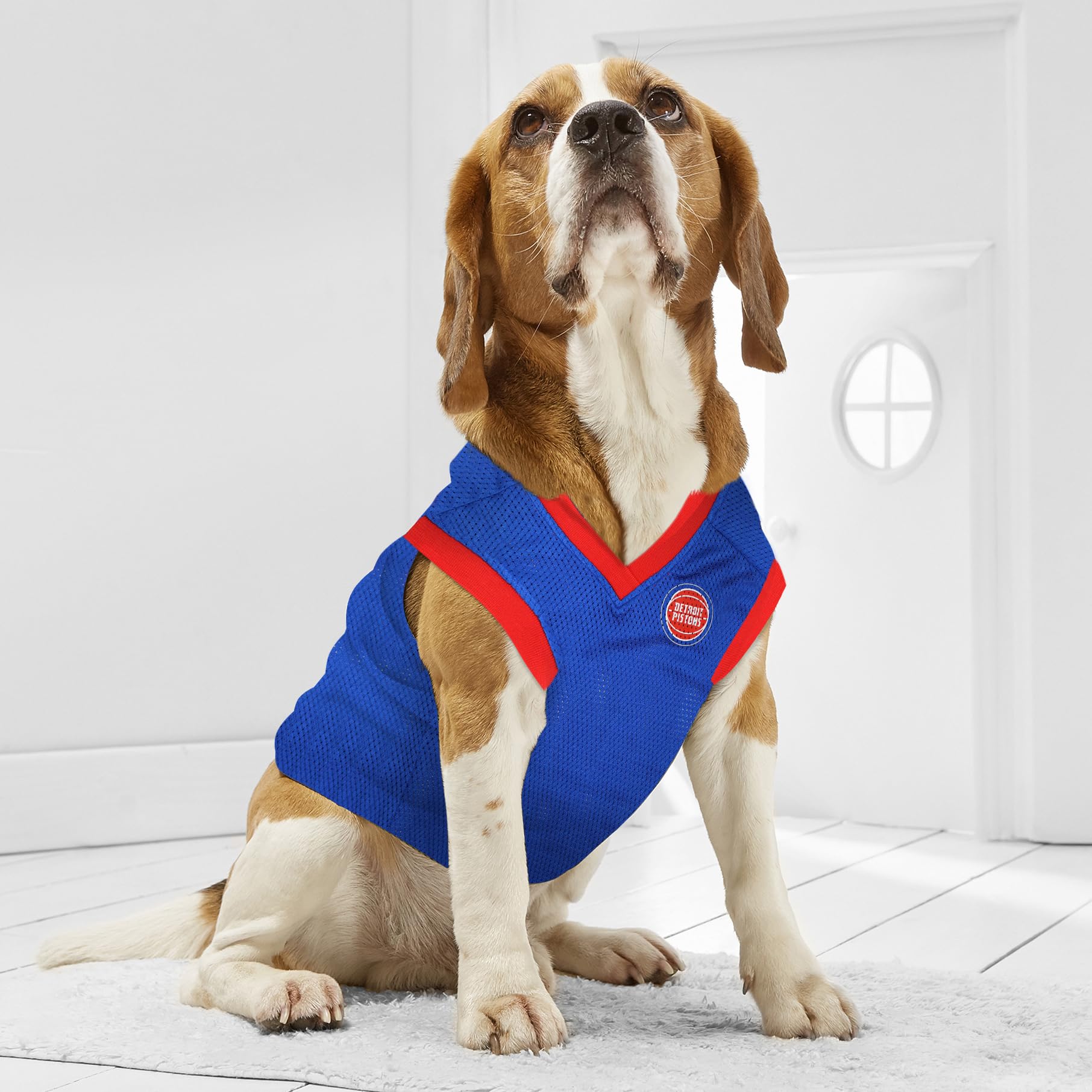 Detroit Pistons NBA Dog Jersey for Small Pets - Breathable Basketball Tank Top for Dogs - Perfect for Game Day, Pet Parties & Sports Events