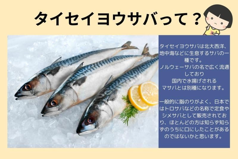 Ito Foods Canned Saba Mizuni - Delicious Boiled Mackerel in Natural Broth - No Salt Added, No Chemical Seasoning - 150g per Can (Pack of 8) - Premium Japanese Seafood for Salads, Rice Bowls & Healthy Snacks