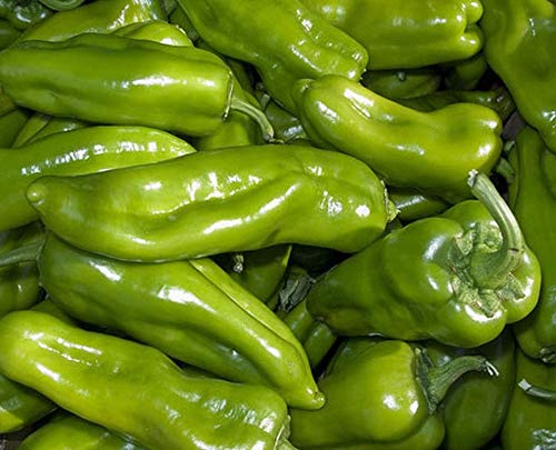 Cubanelle Sweet Fryer Pepper Seeds (25 Count) - Mild & Flavorful for Cooking, Salads & Grilling - Perfect for Home Gardeners & Chefs
