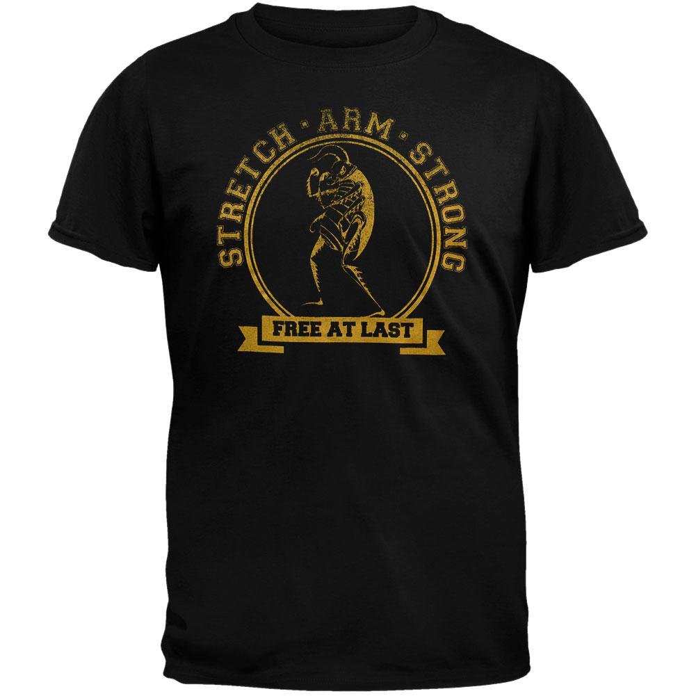 Stretch Arm Strong Gym T-Shirt - Breathable Workout Tee for Men & Women - Perfect for Weightlifting, CrossFit & Fitness Training