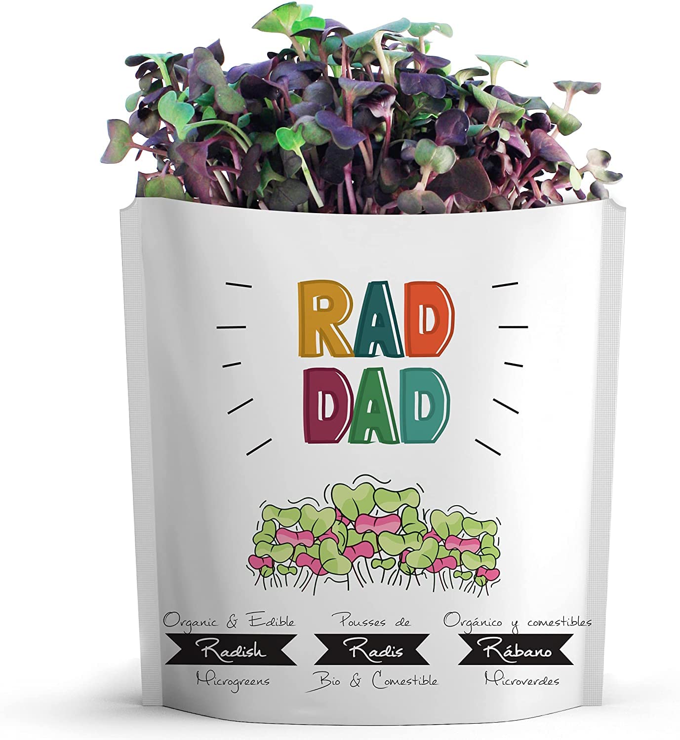 Eco-Friendly Father's Day Greeting Card with Organic Microgreens - Plantable & Edible Gift for Dad | All-Occasion Sustainable Postcard | 1 Pack | Perfect for Birthdays, Holidays & Special Moments