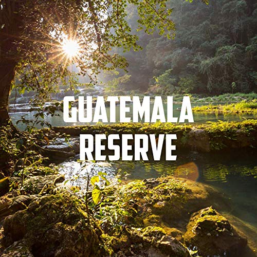 Guatemala Antigua Dark Roast Ground Coffee - USDA Organic, Single Origin, Fresh Roasted, 5 lb Bag - Perfect for Home Brewing, Office Use & Gifts