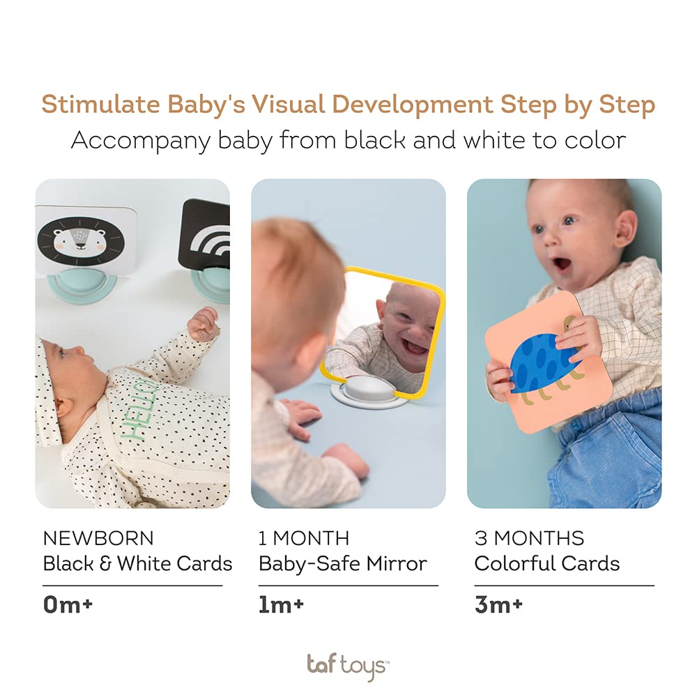 Taf Toys - 12835 - Activity Cards for Babies & Toddlers - Educational Learning Games for Early Development - Perfect for Playtime & Travel