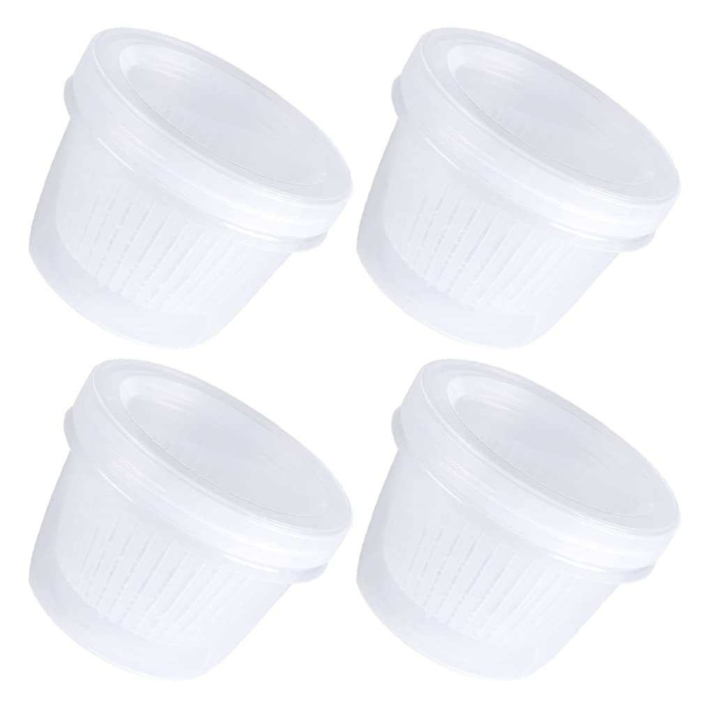OSALADI 4-Piece Airtight Food Storage Containers Set - BPA-Free Plastic Ginger Garlic Onion Storage Box with Lids for Kitchen, Fridge & Meal Prep | Perfect for Salad, Vegetables & Leftovers Organization