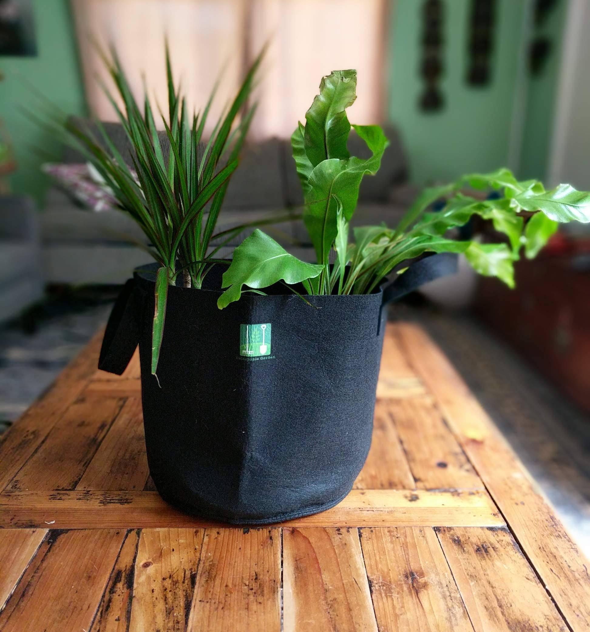 5 Gallon Plant Grow Bags - Heavy Duty Non-Woven Aeration Fabric Pots with Handles, Reinforced Weight Capacity & Ultra Durable for Indoor/Outdoor Gardening (Black) - Perfect for Vegetables, Flowers & Herbs