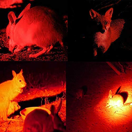 XLENTGEN 350 Yard Red Hunting Flashlight - Zoomable LED Tactical Light for Coyote, Hog, Varmint & Fox Hunting - Includes Pressure Switch, Rail Mount & Scope Mount - Perfect for Night Vision & Predator Hunting