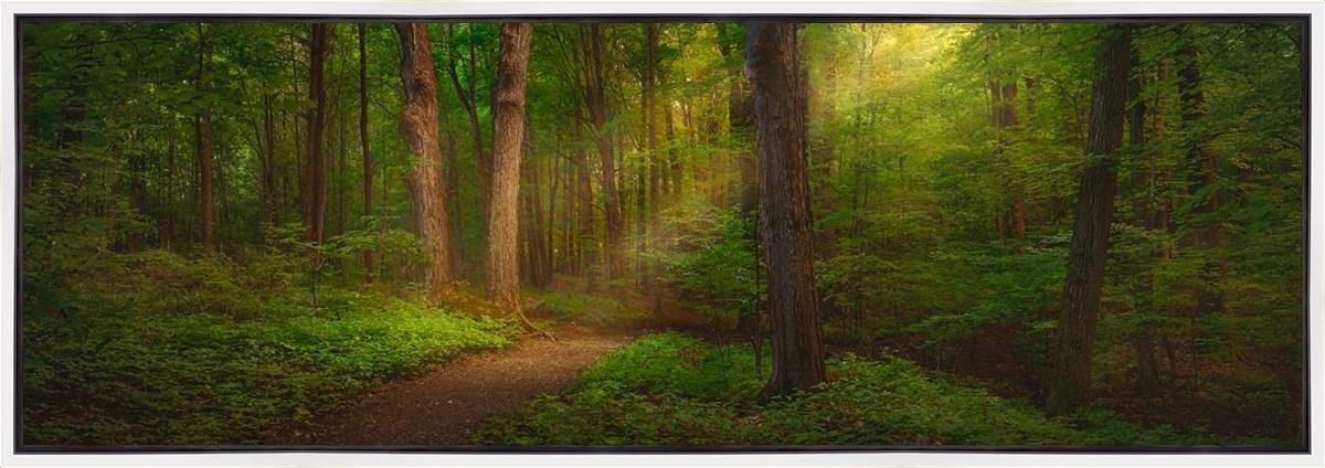 Sacred Grove Gallery Wrap Canvas - Handmade Wall Art for Living Room, Bedroom & Office Decor - Perfect for Home, Wedding & Gift Giving