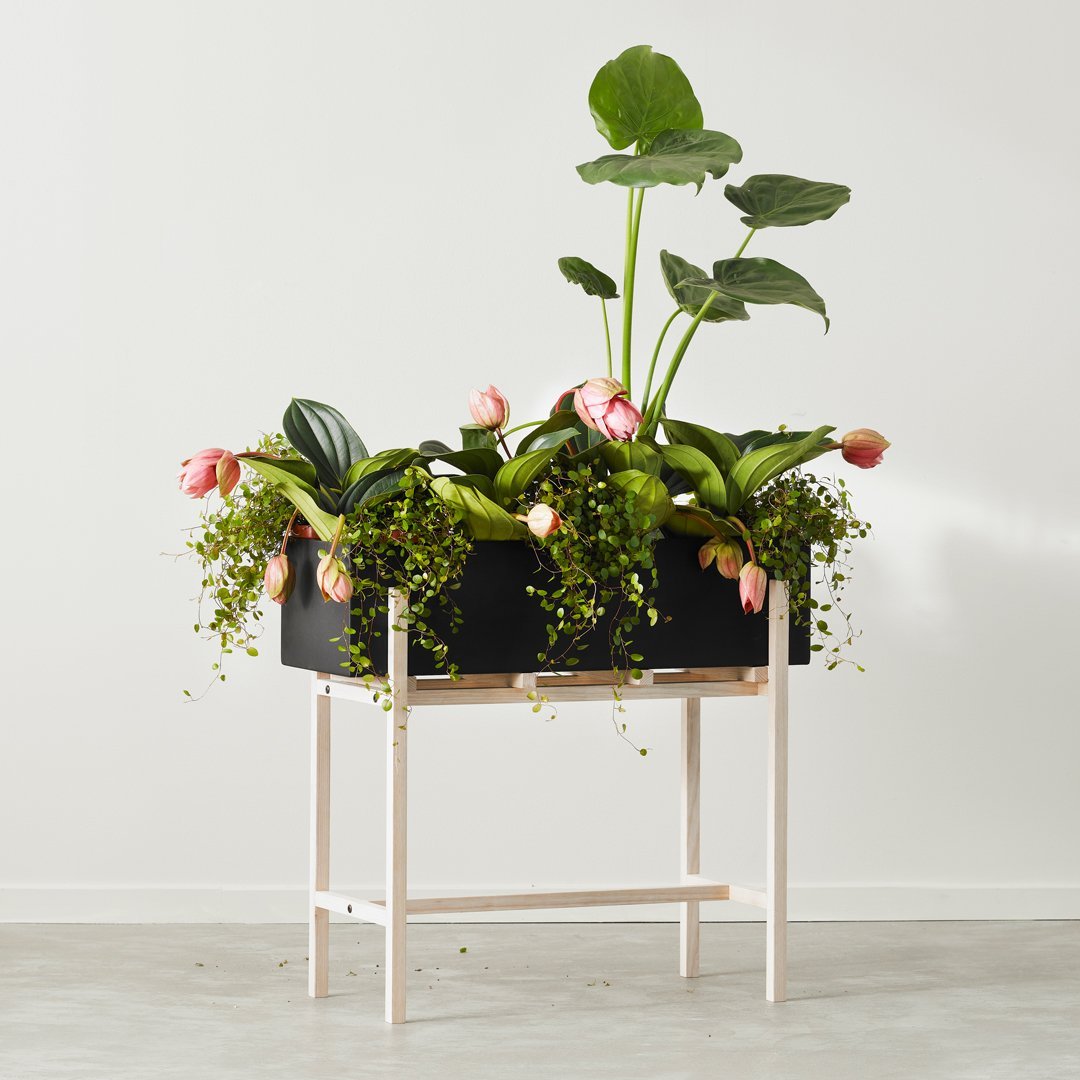 Botanic Standing Pot - Modern Decorative Plant Holder for Home & Office - Indoor & Outdoor Use for Succulents, Flowers & Herbs