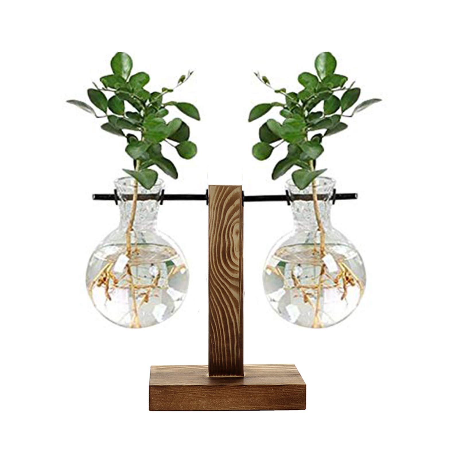 Clear Glass Hanging Plant Terrarium with Retro Solid Wood Stand - Water Planting Vase for Hydroponics, Home Decor, Office & Garden Plant Display