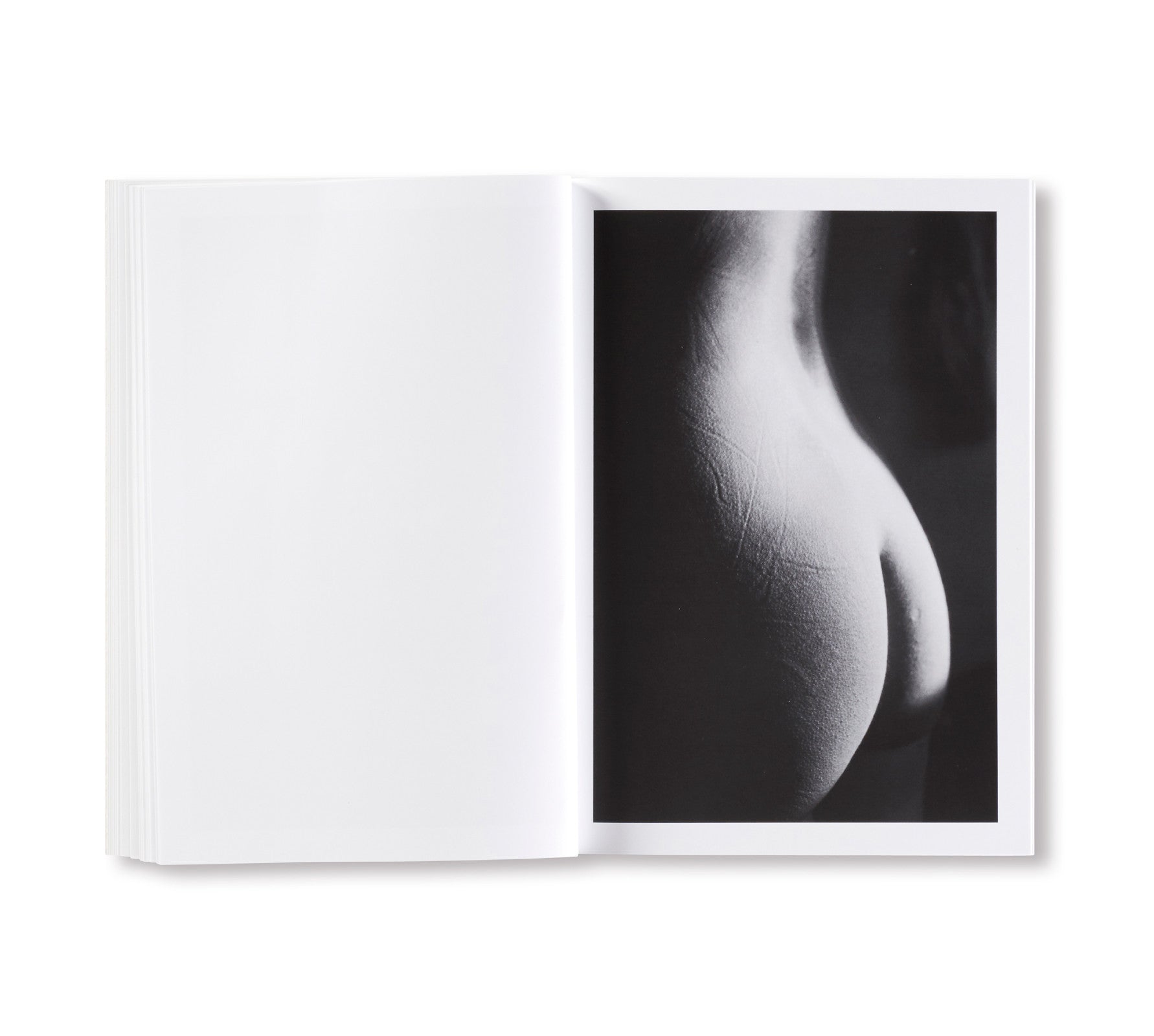 Lina Scheynius 09 Special Edition Photography Book - Limited Collector's Edition for Art Lovers & Photography Enthusiasts | Perfect for Home Decor, Coffee Table Display & Gift Giving