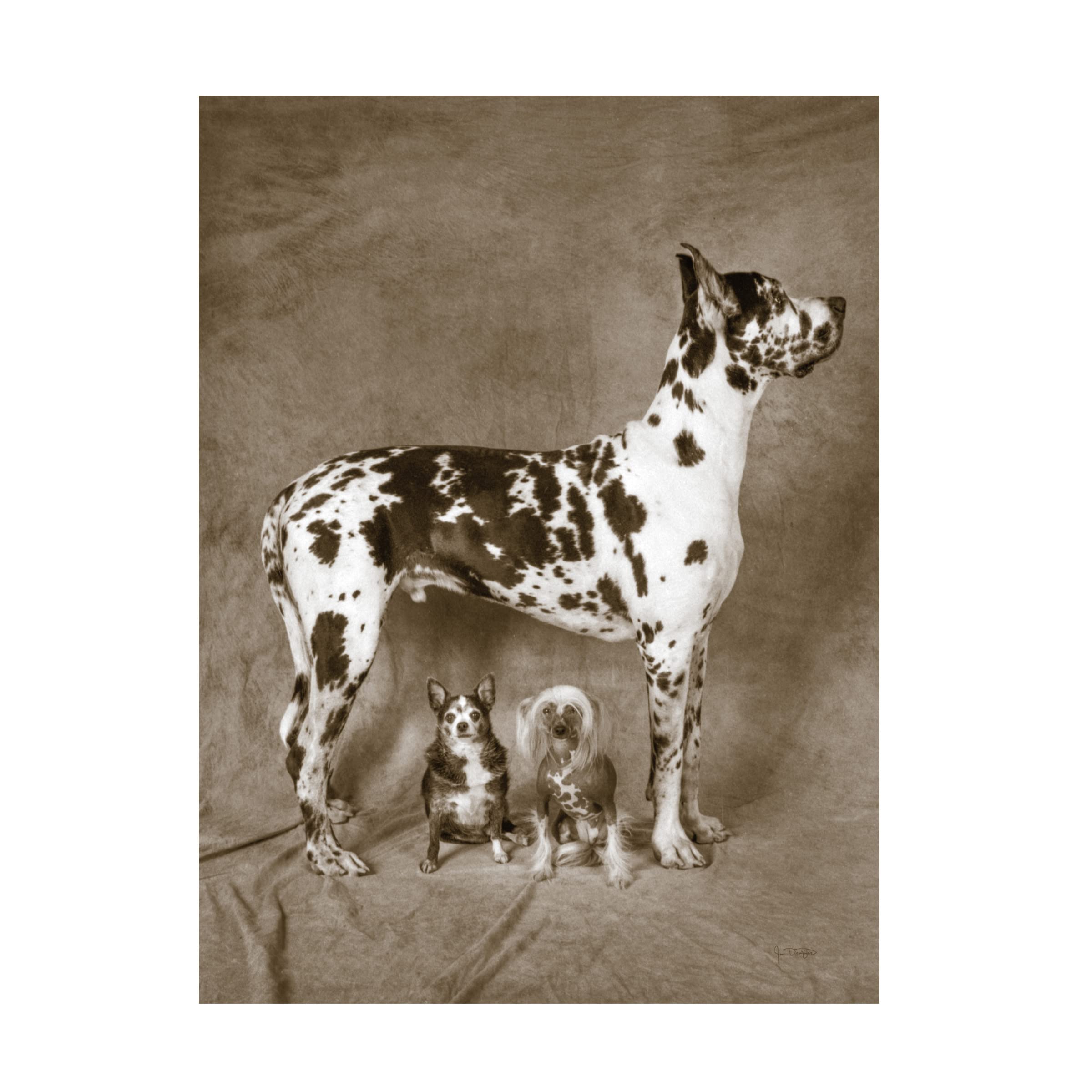 Trademark Fine Art 'Amadora with Brown Square I' Canvas Wall Art Print by Wild Apple Portfolio - Perfect for Living Room, Bedroom & Office Decor