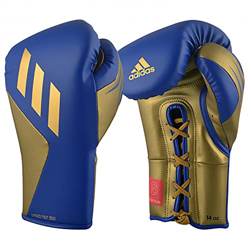 Blue/Gold