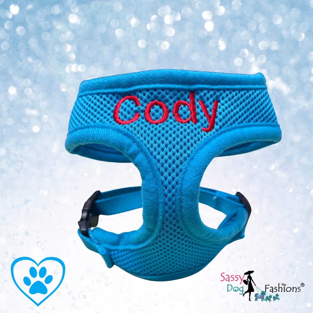 Custom Embroidered Dog Harness with Pet Name - Soft Padded Air Mesh No-Pull Vest for Small & Medium Dogs | Adjustable Puppy Walking Harness Made in USA (Small, Blue) - Perfect for Daily Walks, Training & Outdoor Adventures