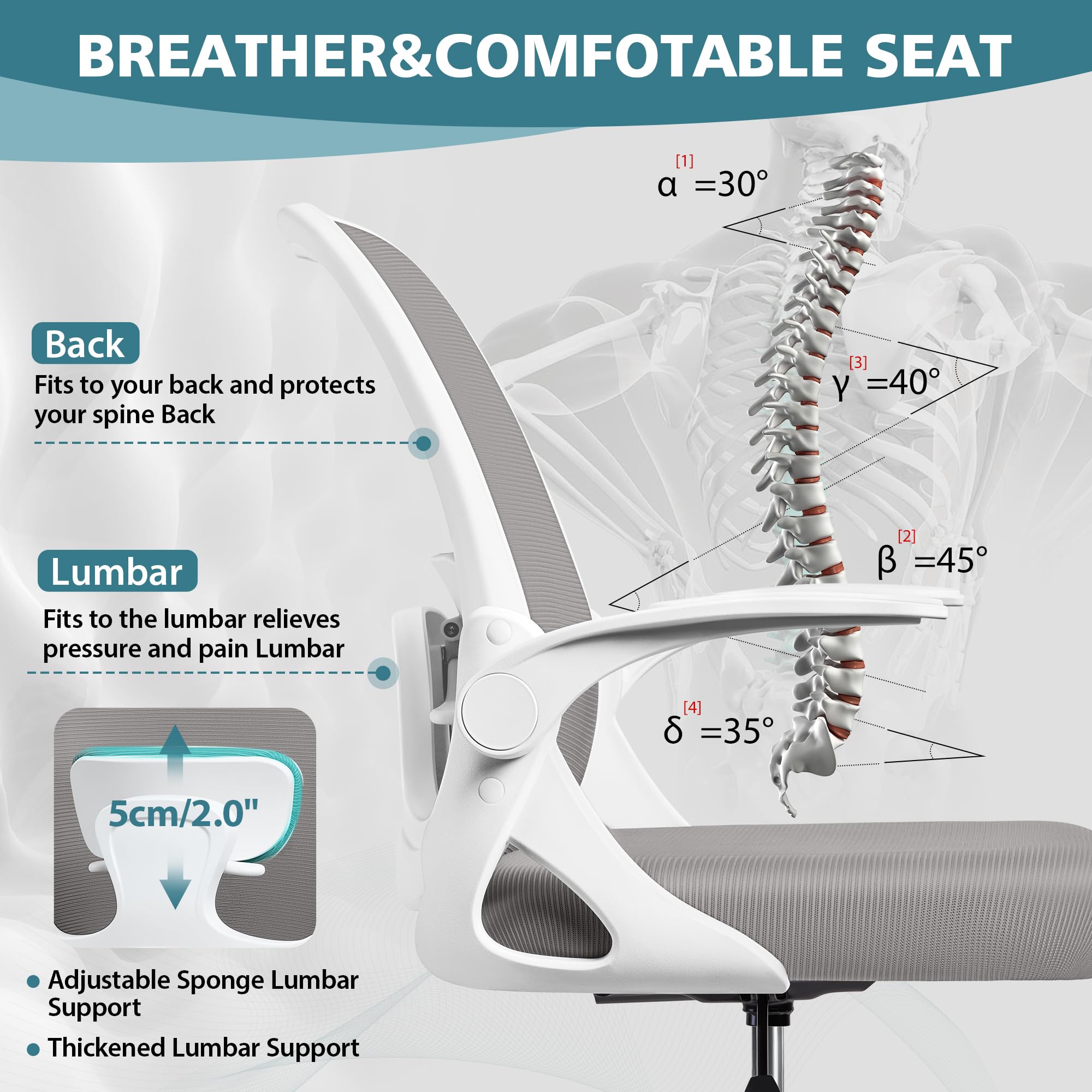 Ergonomic Office Chair with Lumbar Support & Flip-Up Arms - Breathable Mesh Computer Desk Chair with Adjustable Height (4