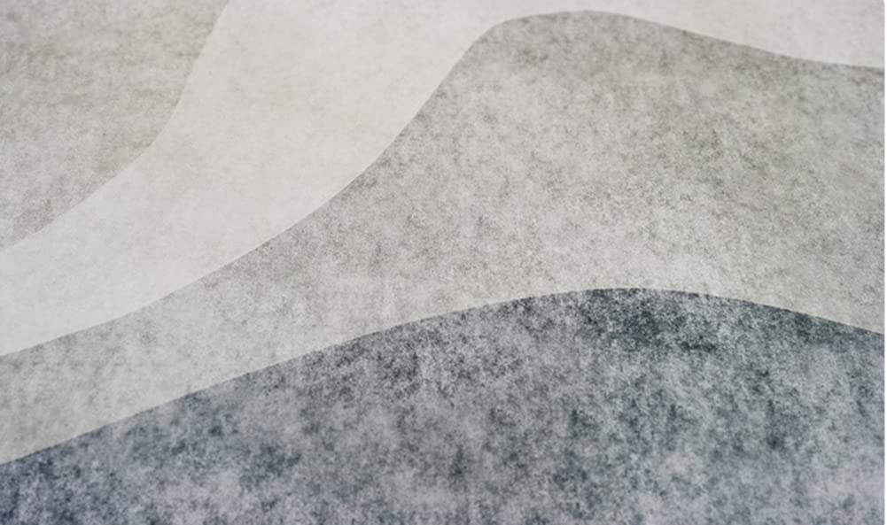 Modern Echo Circle Geometric Area Rug 6x8ft - Gray Illusion Carpet for Living Room, Bedroom & Dining Room - Luxury Washable Indoor/Outdoor Accent Floor Decor - Perfect for Kitchen, Laundry & Bathroom Mats