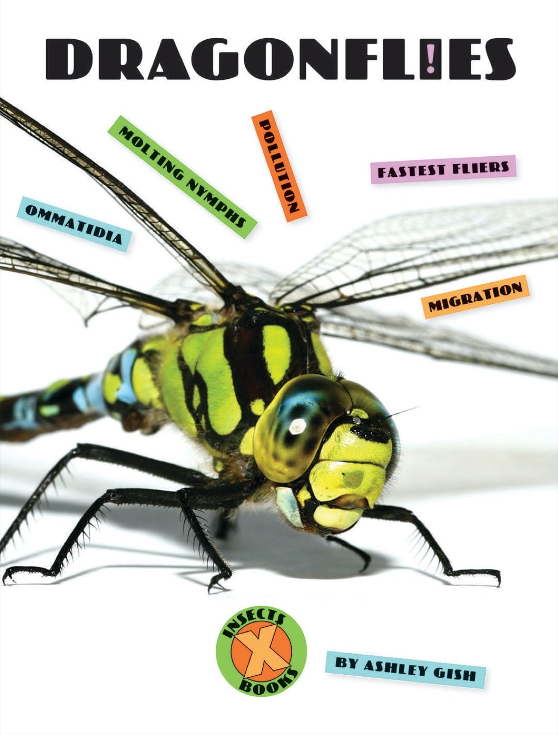 Dragonflies Book - ISBN 9781608189915 - Explore Nature & Science for Kids & Adults - Perfect for Reading, Learning & Gifts