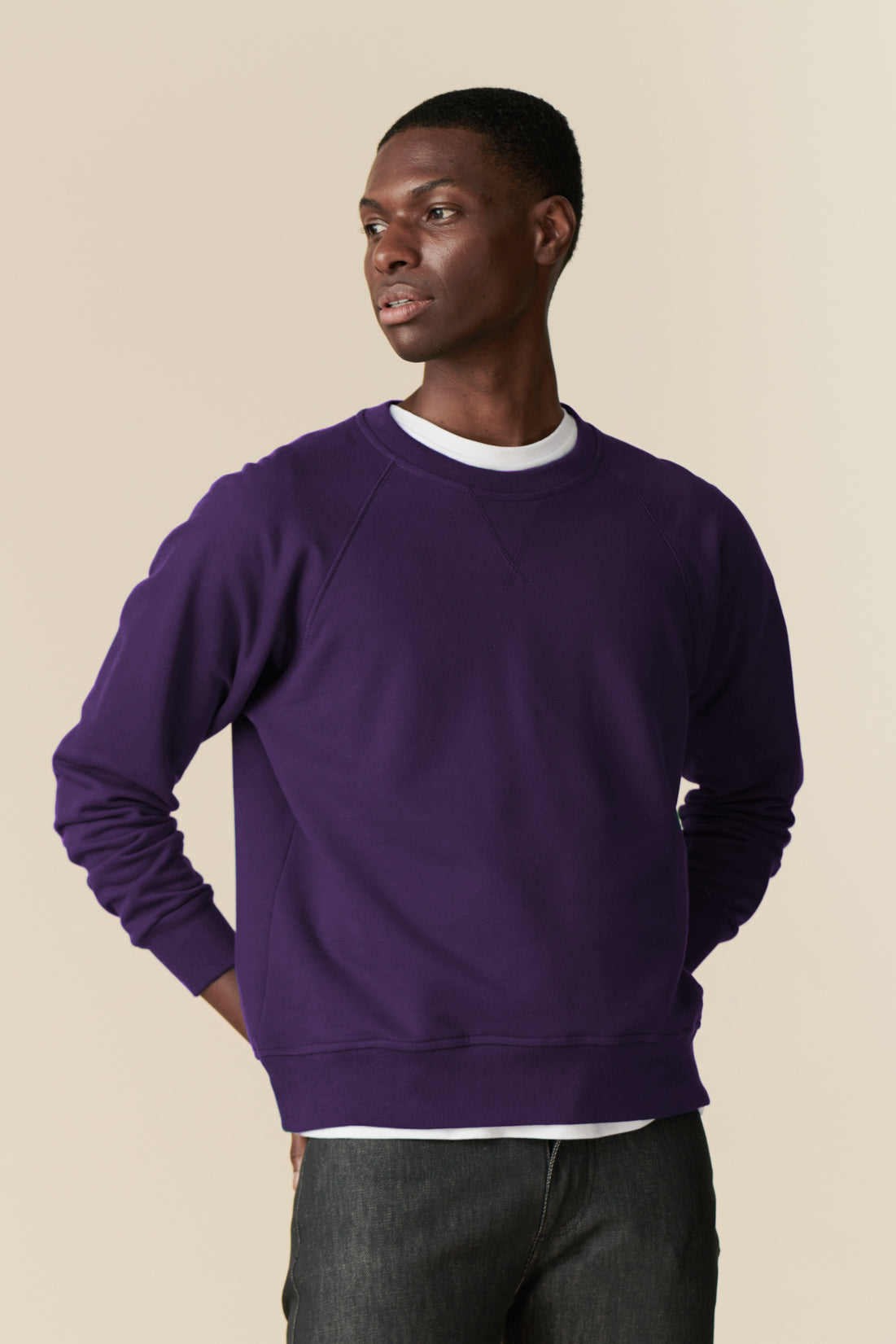 Men's Raglan Sweatshirt - Soft Cotton Pullover Hoodie in Purple | Casual Streetwear & Loungewear for Everyday Comfort
