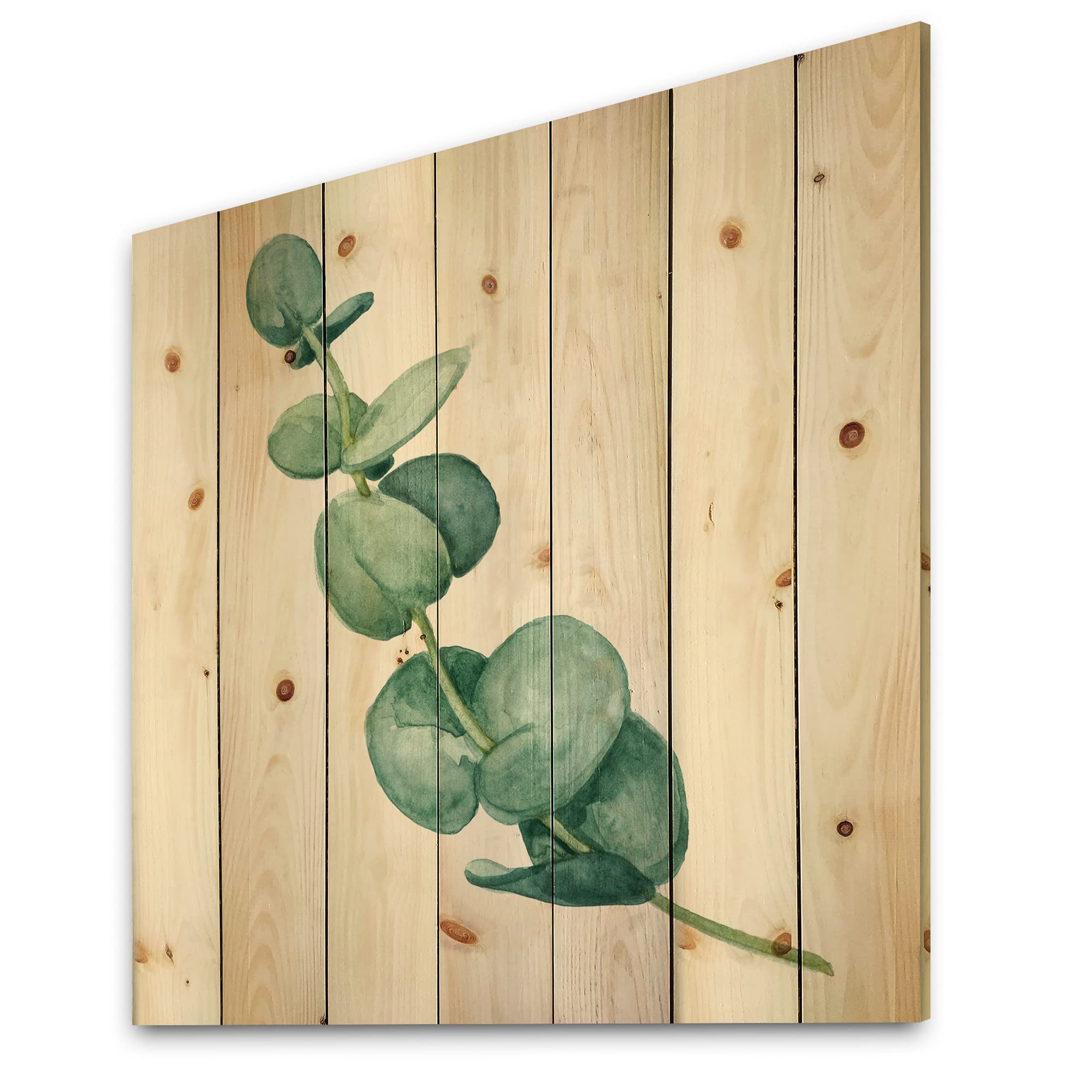 DesignQ Young Eucalyptus Leaves & Branches II - Traditional Wood Wall Decor | Large Floral Pine Wood Art Panel | Natural Green Botanical Print | Perfect for Living Room, Bedroom & Office Decor