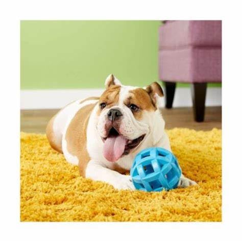 Hol-Ee Mol-Ee Extreme Dog Toy - Durable Chew Toy for Aggressive Chewers, Interactive Fetch & Tug-of-War Game for Large & Small Dogs - Perfect for Outdoor Play, Training & Dental Health