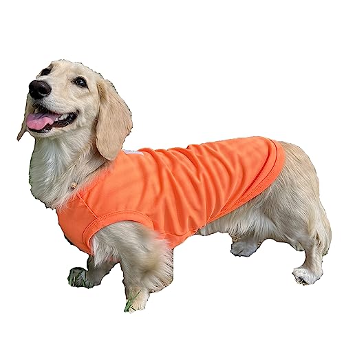 Neon Orange