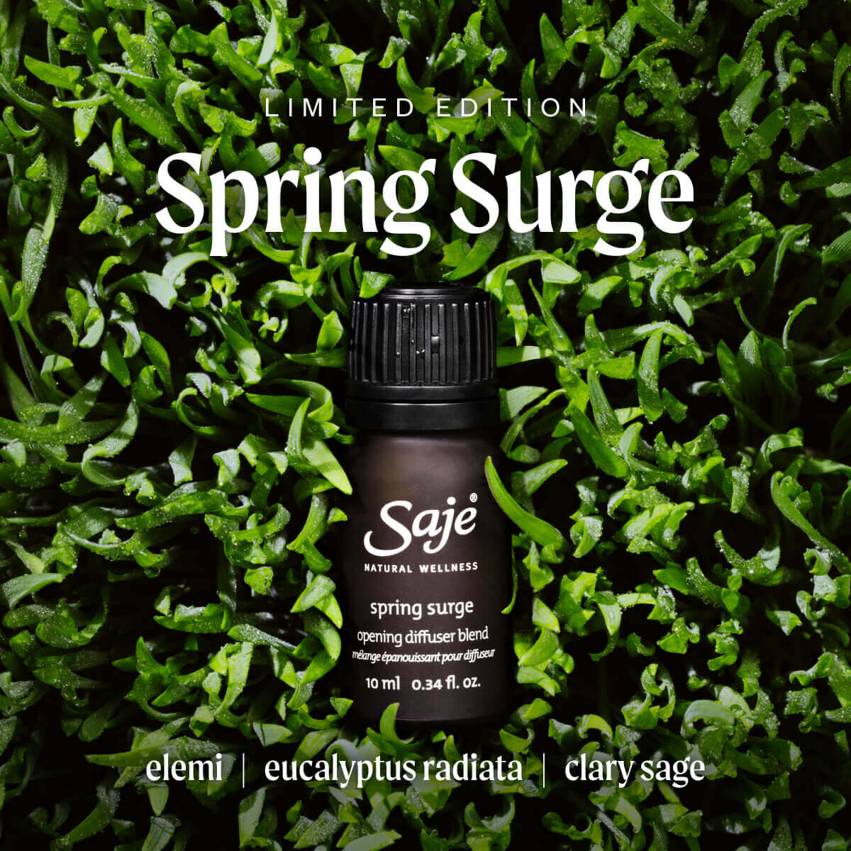 Spring Surge Essential Oil Diffuser Blend - Aromatherapy for Relaxation & Stress Relief - Perfect for Home, Office & Yoga Spaces