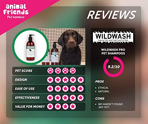 PRO Hydrating Dog Shampoo for Dry & Flaky Skin - Natural Conditioning with Manuka Honey, Lavender & Aloe Vera - UK Made Pet Grooming Product - 10.2 fl oz (Dilutes to 2.6 gal) - Perfect for Sensitive Skin & Allergy Relief Bath Time