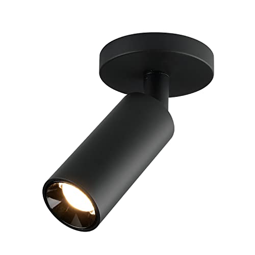 Black-1 Light