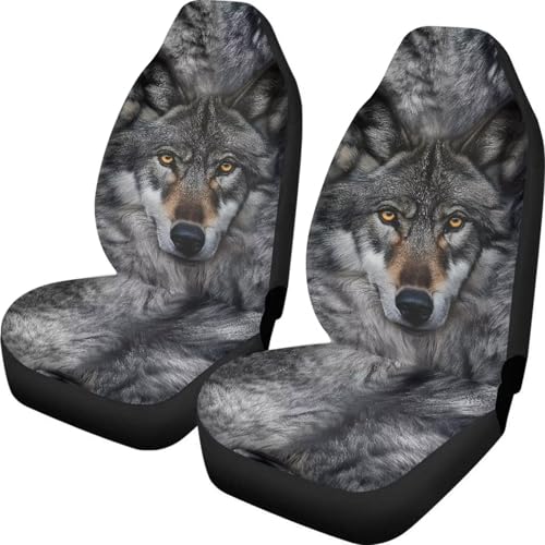 Grey Wolf