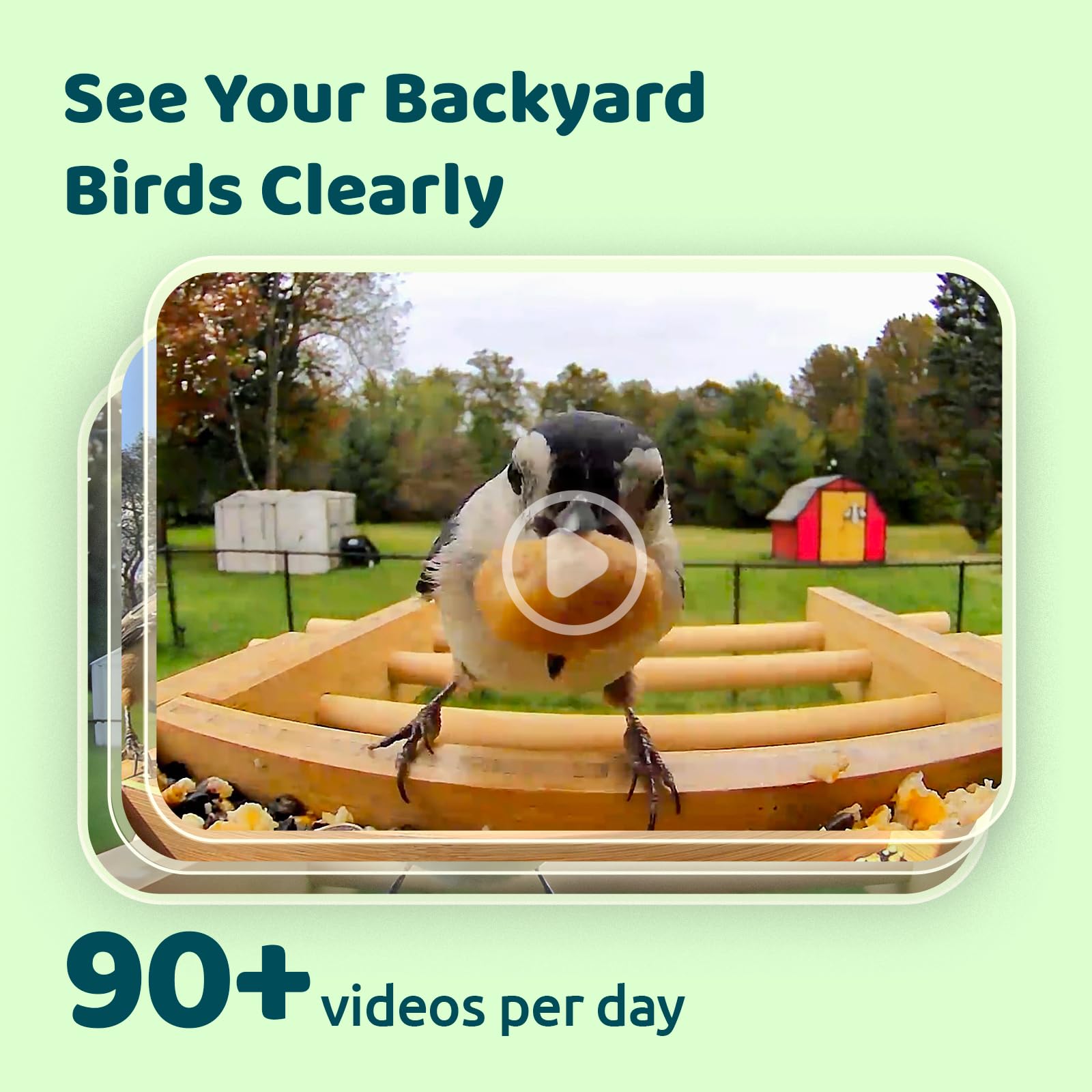NETVUE by Birdfy AI Smart Bird Feeder with Camera - Solar Powered, 6000+ Bird Species Recognition & Motion Detection - Upgraded Bamboo Wood Design - Perfect for Bird Watching, Garden Monitoring & Nature Lovers - Great Gift Idea for Bird Enthusiasts