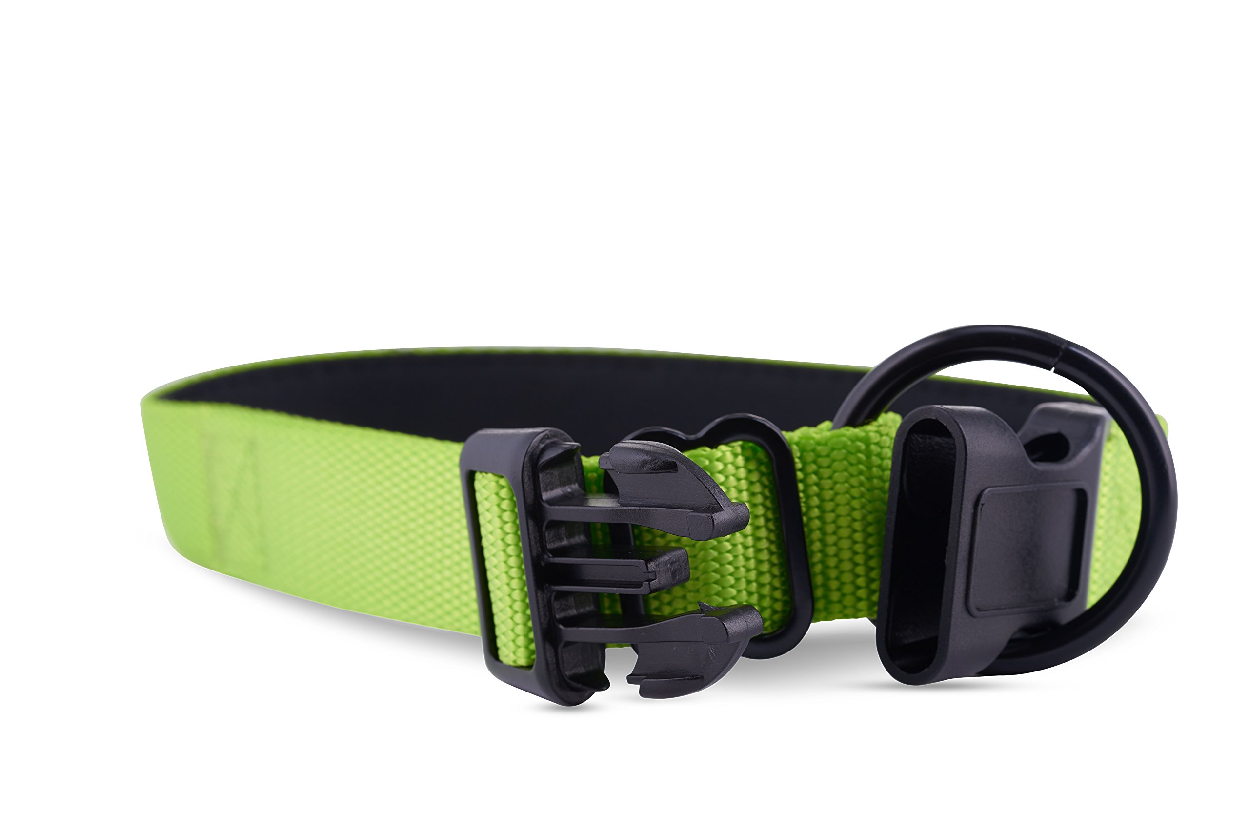 Premium Nylon Neoprene Padded Dog Collar - Classic Comfort Adjustable Collar for Medium Dogs | Soft & Durable Pet Collar with Padded Lining | Perfect for Daily Walks, Training & Outdoor Adventures (Neon Green, Size M) by Wagtime Club