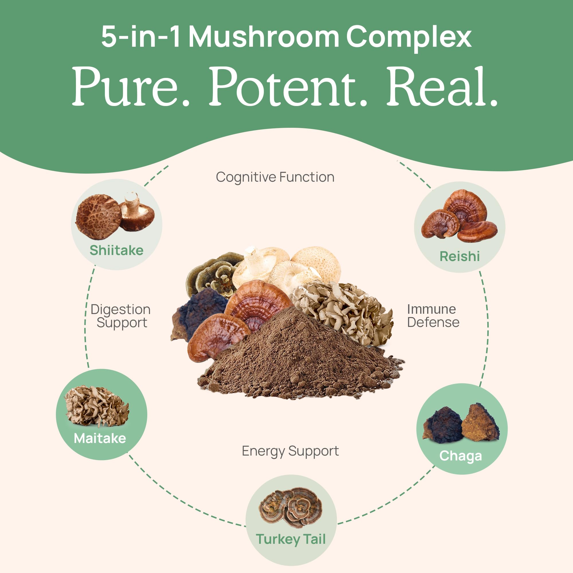 Premium Lions Mane (120ct), Reishi (90ct), and 5 Defenders (90ct) Mushroom Supplement Bundle - Vegan, Non-GMO Capsules for Brain Health, Immune Support, Stress Relief & Longevity - Ideal for Daily Wellness, Focus Enhancement & Natural Immune Boosting