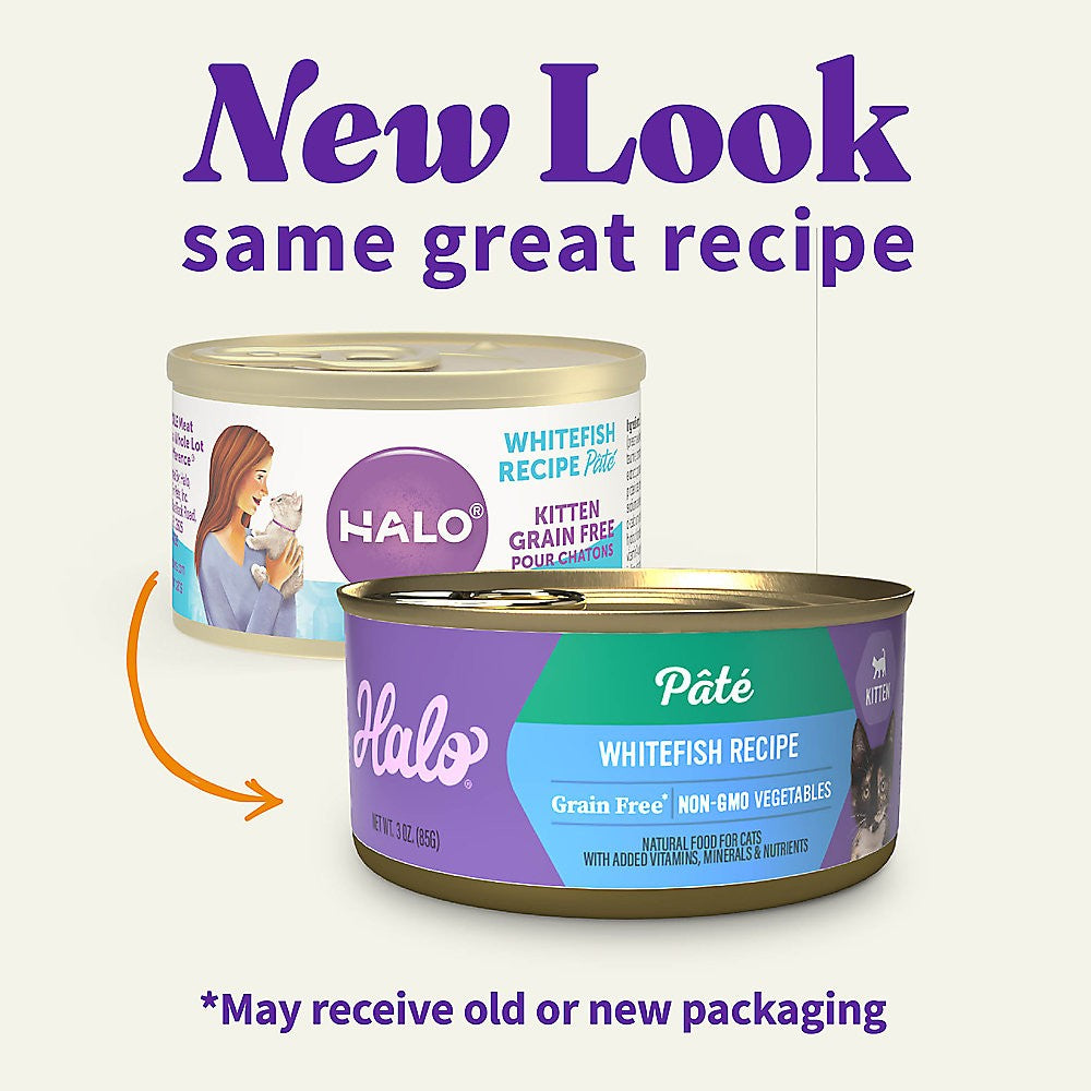 Grain-Free Kitten Food - Whitefish Pate Wet Cat Food for Kittens - High Protein, Natural Ingredients - Perfect for Picky Eaters & Sensitive Stomachs