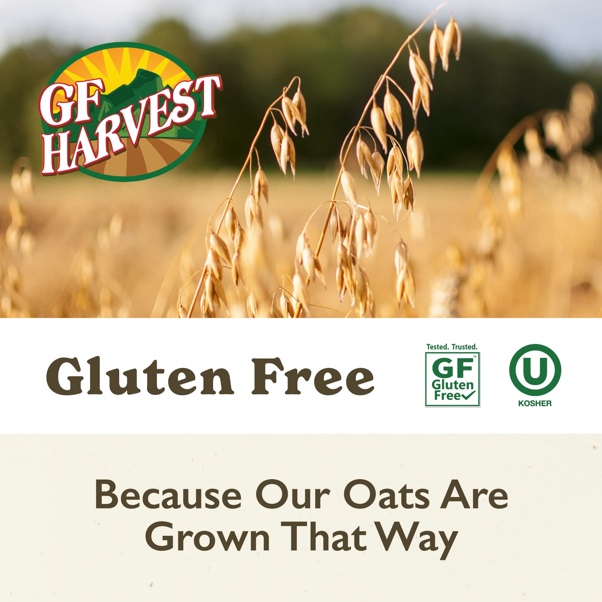 Organic GF Harvest Gluten-Free Rolled Oats - 25 lb Bulk Bag | Non-GMO, Whole Grain, High Fiber Breakfast Oatmeal for Baking, Smoothies & Healthy Recipes (Perfect for Pancakes, Granola & Overnight Oats)