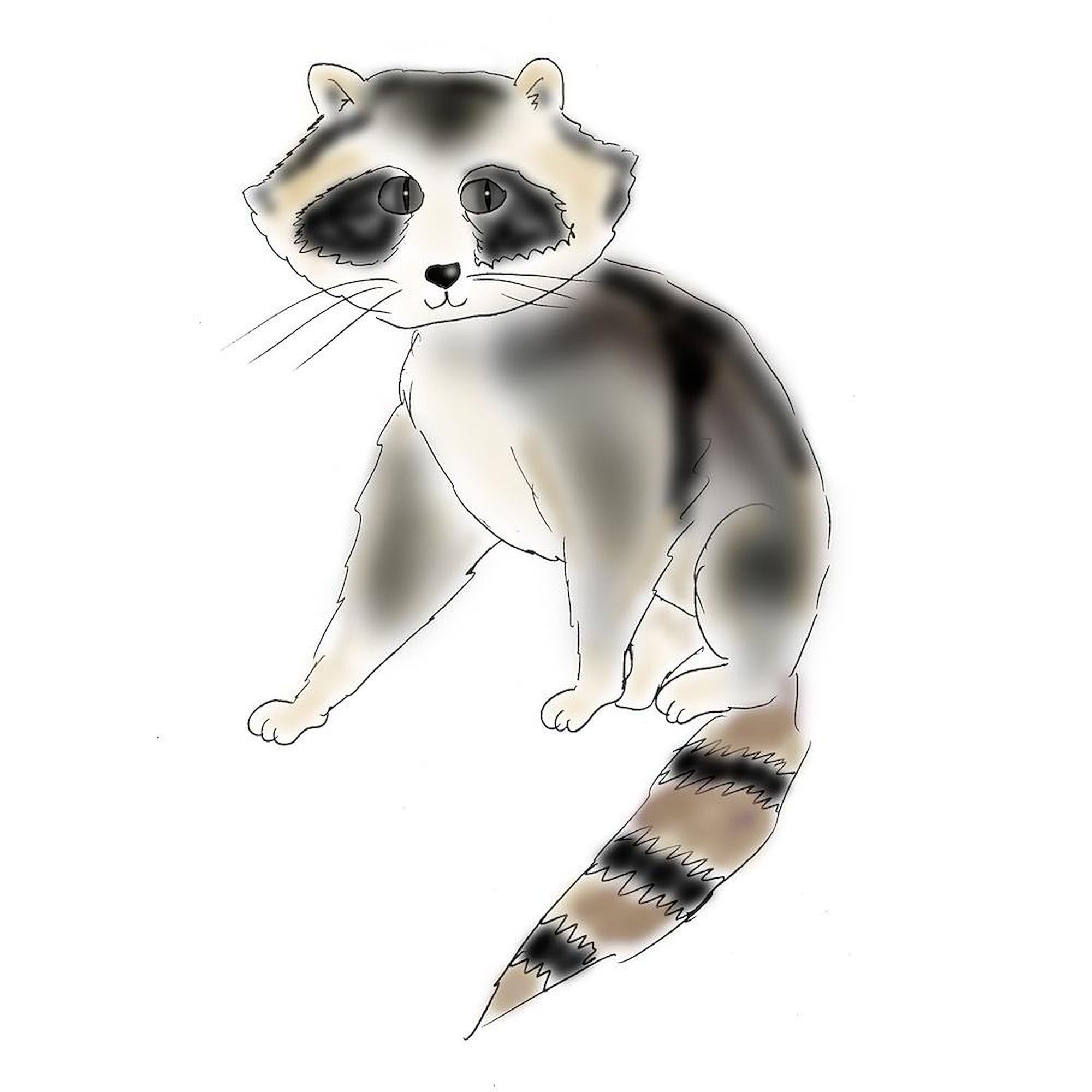 11 oz (325 ml) Ceramic Coffee Mug with Raccoon Design - Perfect for Home, Office & Gifts | CafePress