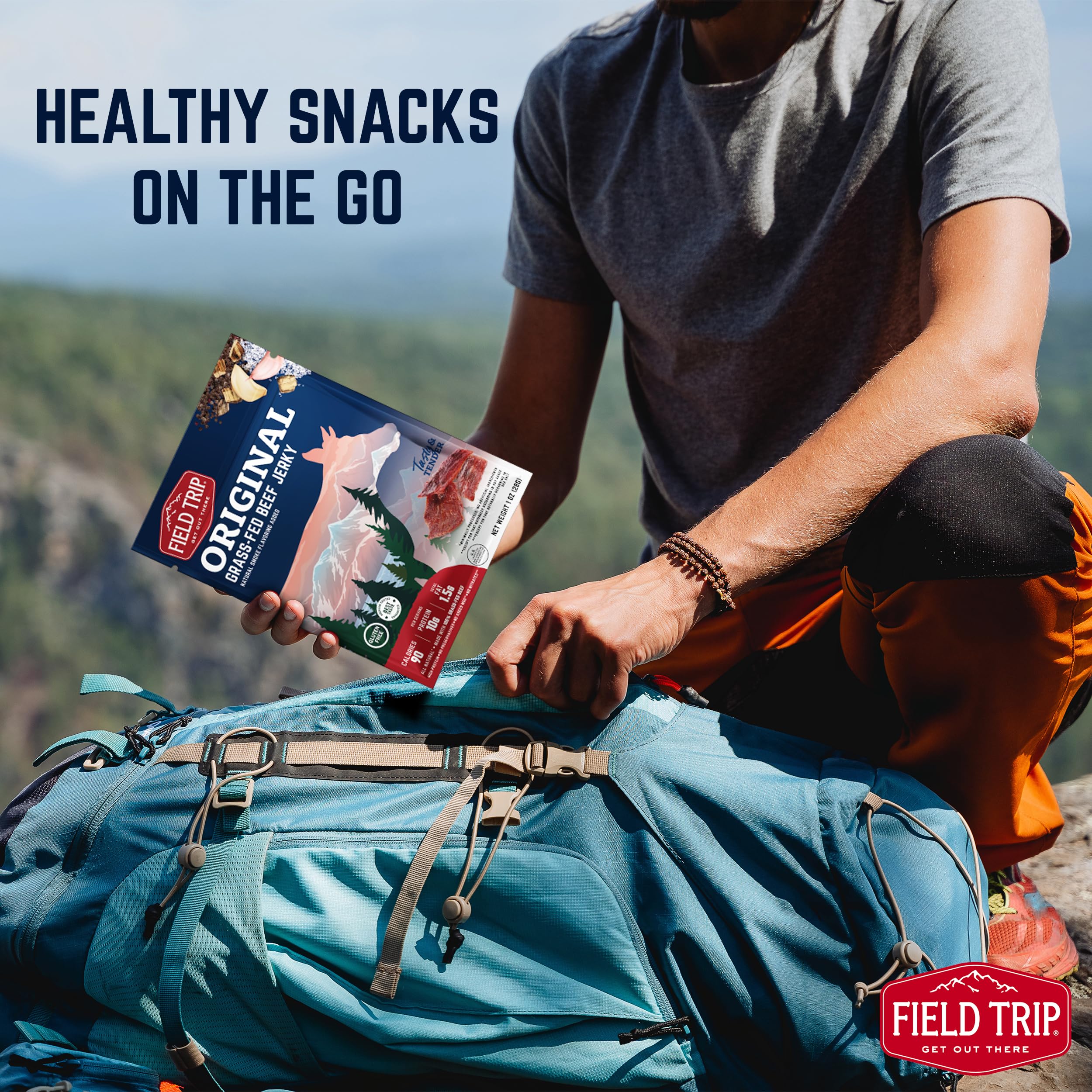 Field Trip Grass Fed Beef Jerky Variety Pack - 4 Pack of 2.2oz Bags | All Natural, Gluten Free, Paleo-Friendly, Nitrate-Free, Low Carb & High Protein Healthy Meat Snacks | Perfect for Hiking, Camping, Road Trips & Office Snacking