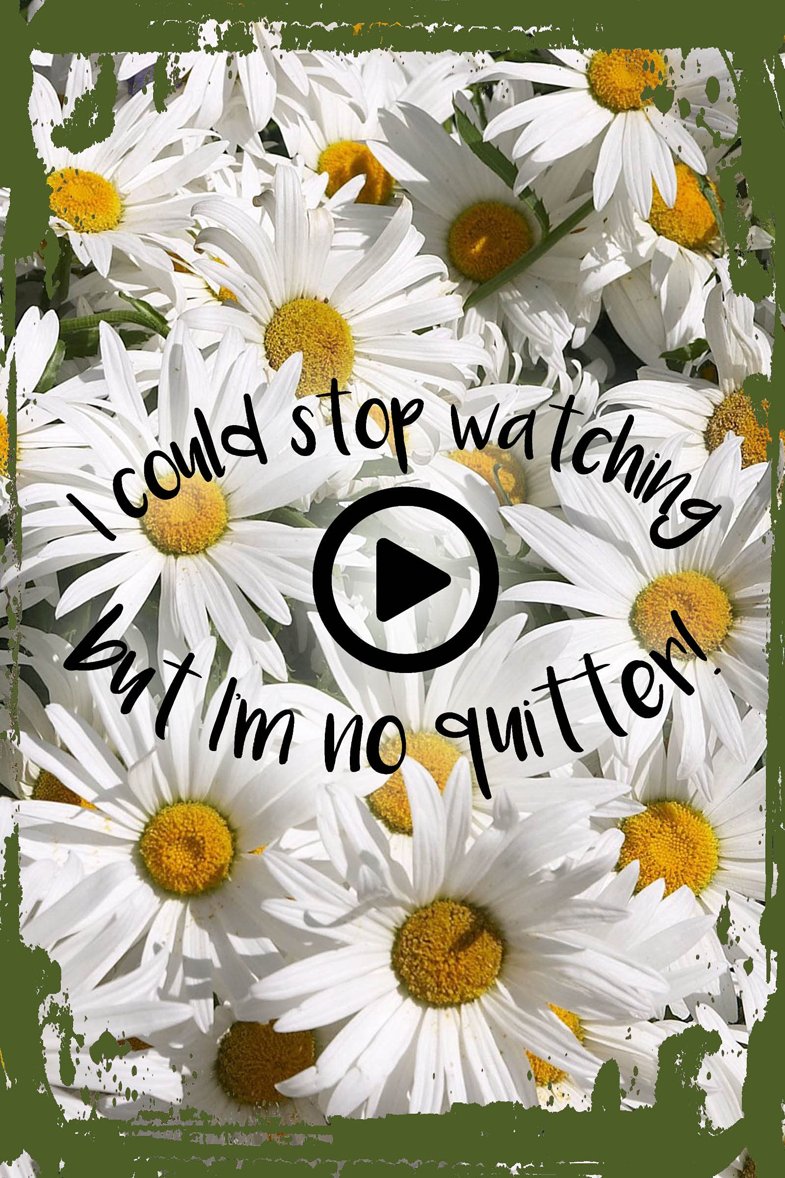 Funny Daisy Flower Wall Art - 'I Could Stop Watching But I'm No Quitter' Binge Watching TV Sign - 8x12 Inches Hanging Home Decor - Perfect Gift for TV Lovers & Movie Nights
