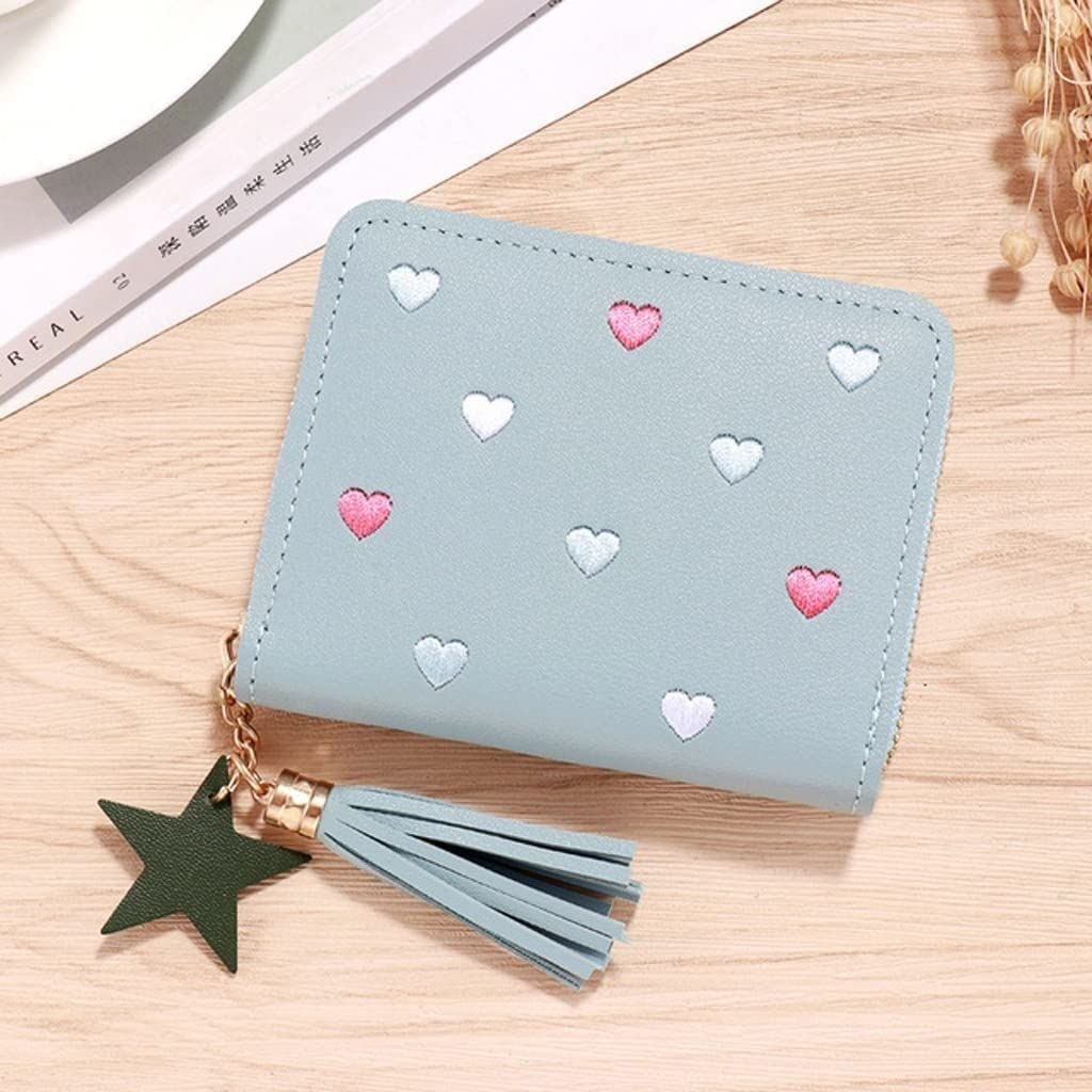 Women's Small Fringe Coin Purse Wallet - Mini Zipper Credit Card Holder (11x9cm) - Perfect for Parties, Concerts & Everyday Use (Color: E)