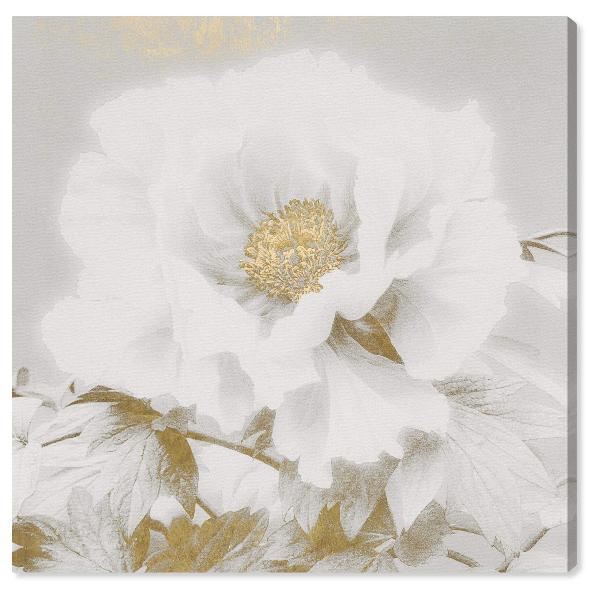 Wynwood Studio Botanical Wall Art Canvas Print 'Kazumasa Antique II' - 30x30 Inch Floral Home Decor in White & Gold - Perfect for Living Room, Bedroom, or Office Wall Decoration