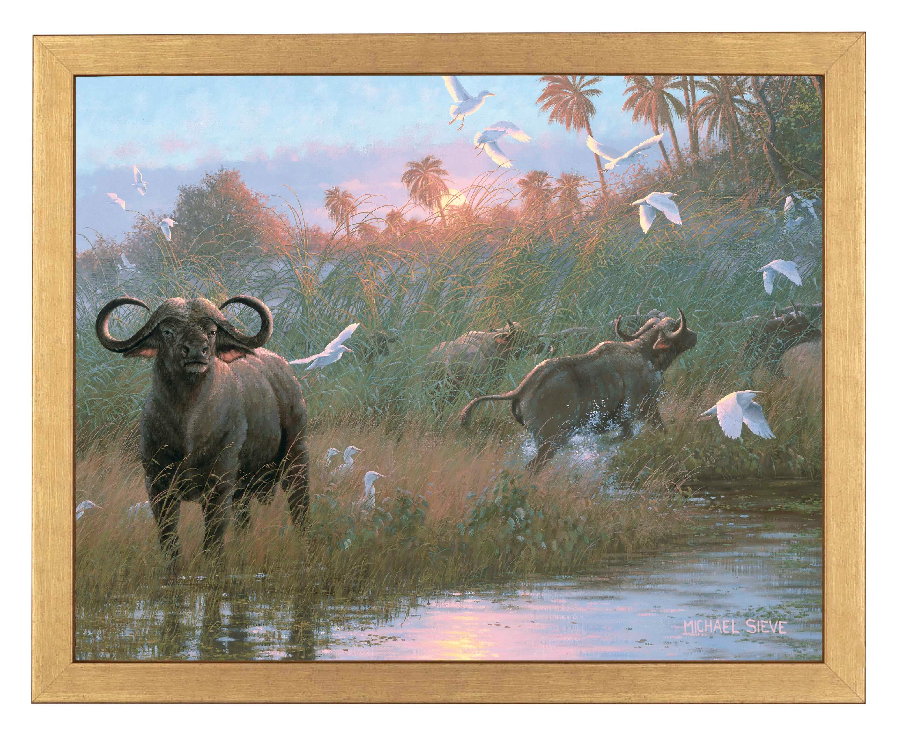 Premium Cape Buffalo Art Prints - High-Quality Wildlife Wall Decor for Home & Office | Perfect for Living Room, Bedroom & Office Spaces
