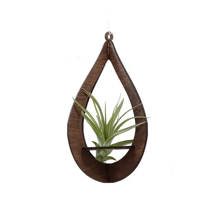 Handmade Walnut Teardrop Air Plant Hanger - Boho Home Decor for Living Room, Bedroom & Office