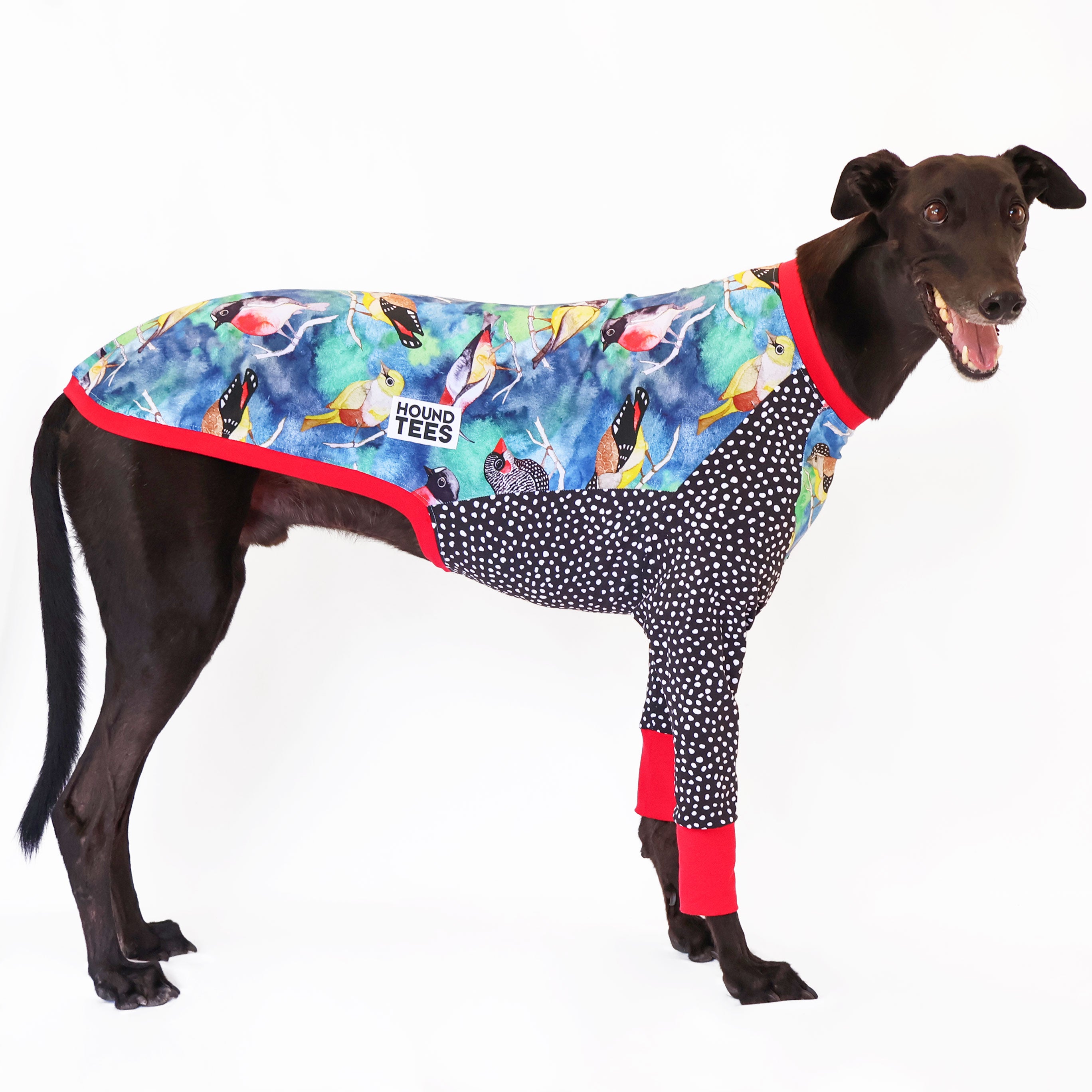 Birbs Greyhound Long Sleeve Hound Tee - Comfortable Dog Lover Shirt for Men & Women - Perfect for Casual Wear, Dog Walks & Pet Owner Gifts
