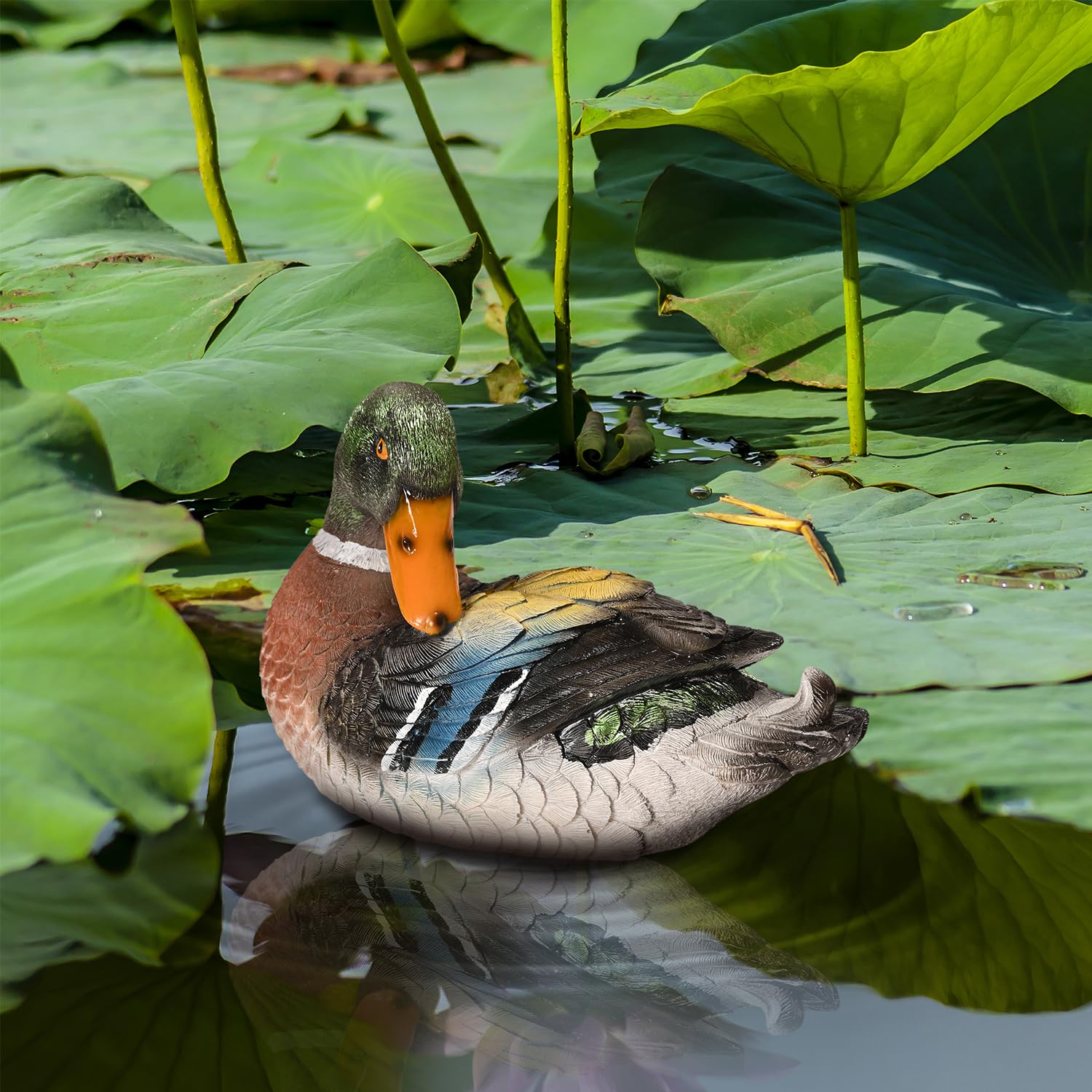 Realistic Resin Mallard Duck Decoy - Floating Pool Duck for Hunting, Pond & Garden Decoration | Perfect for Outdoor Decor, Waterfowl Hunting, and Backyard Ponds