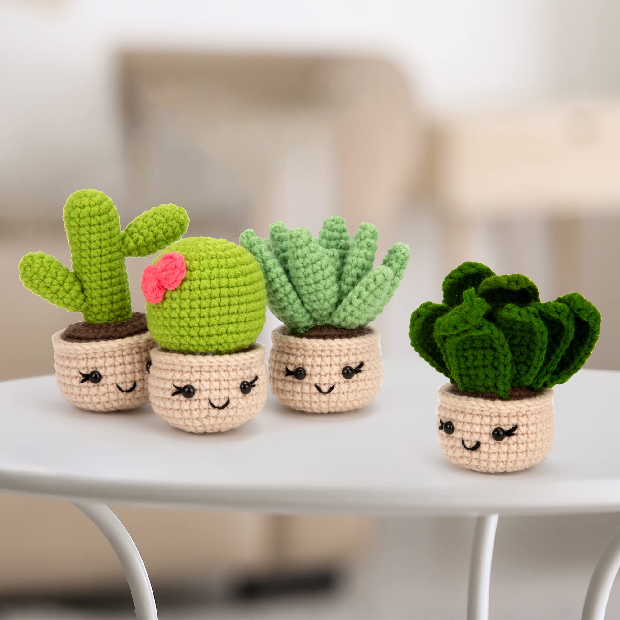 Karsspor Beginner Crochet Kit for Adults - 6 Piece Succulent Crochet Set with Step-by-Step Instructions & Video Tutorials | Complete DIY Crochet Starter Kit for Beginners (Patented) | Perfect for Home Decor, Gifts & Relaxation