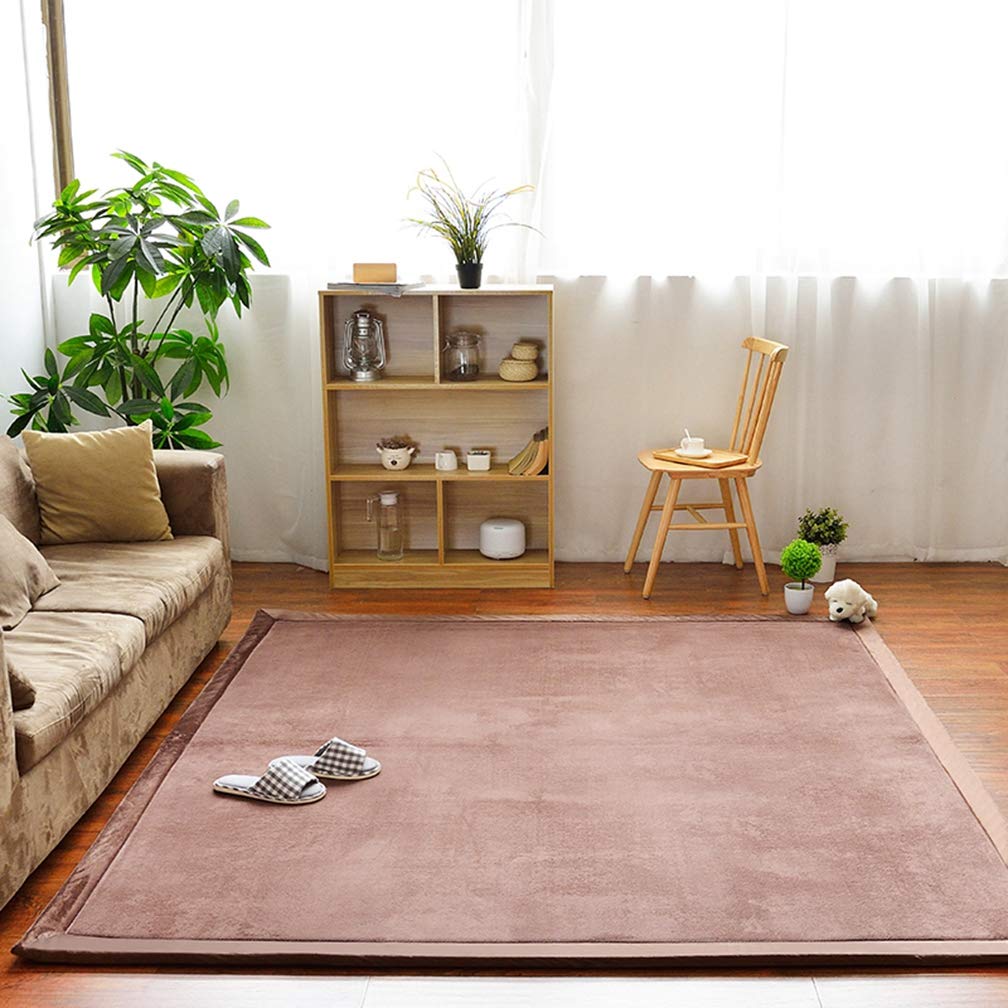 Premium Coral Fleece Non-Slip Area Rug 4'x9' - Soft Rectangular Indoor/Outdoor Carpet for Living Room, Bedroom, Nursery & Home Decor | Cozy Floor Mat for Kids Play Area, Pet-Friendly Space & Modern Runner
