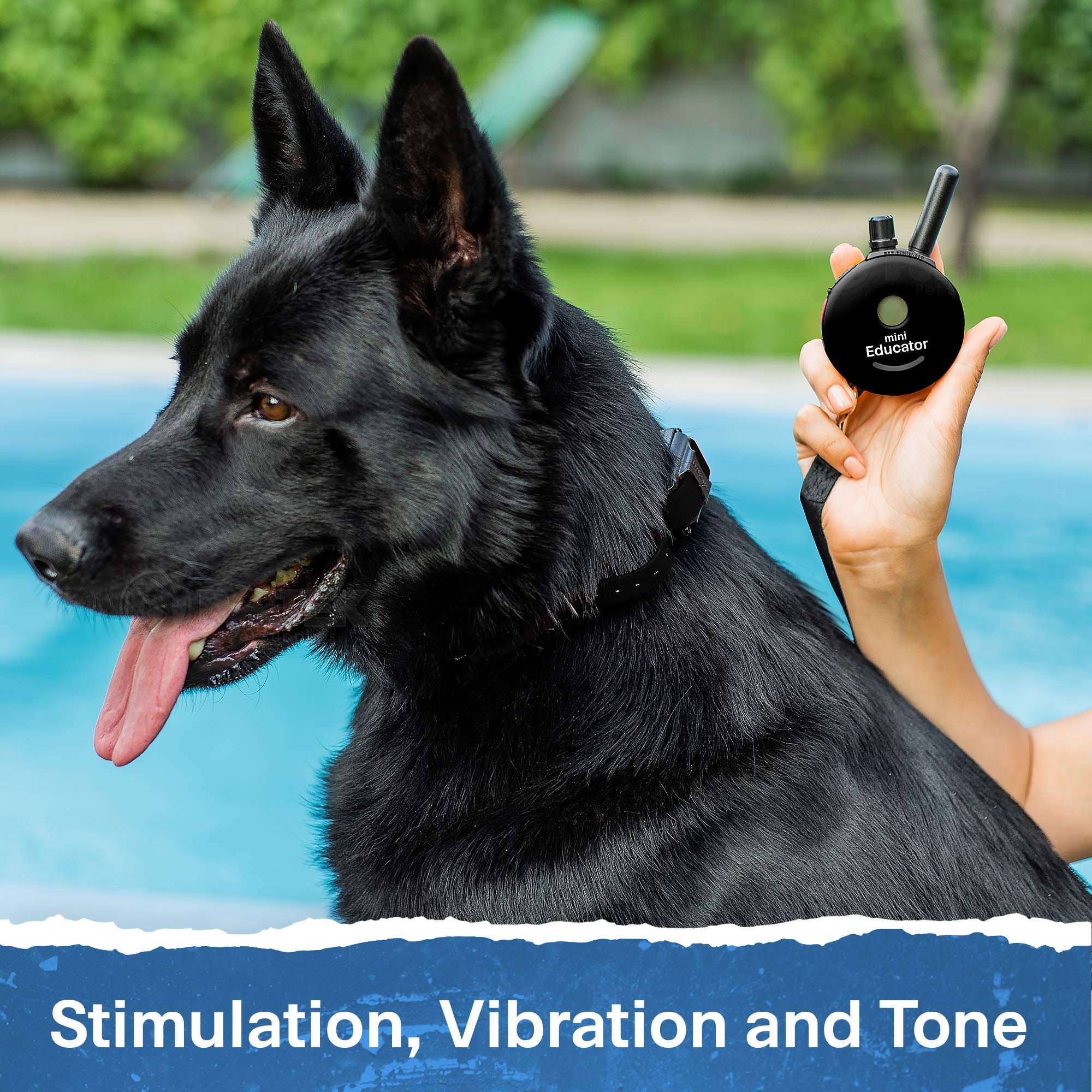 Educator ET-302 BK - 1/2 Mile Range Rechargeable Dog Training Collar with Remote for Small, Medium & Large Dogs | Waterproof Shock Collar with Electric, Vibration & Tone Modes | Perfect for Obedience Training, Behavior Correction & Off-Leash Control