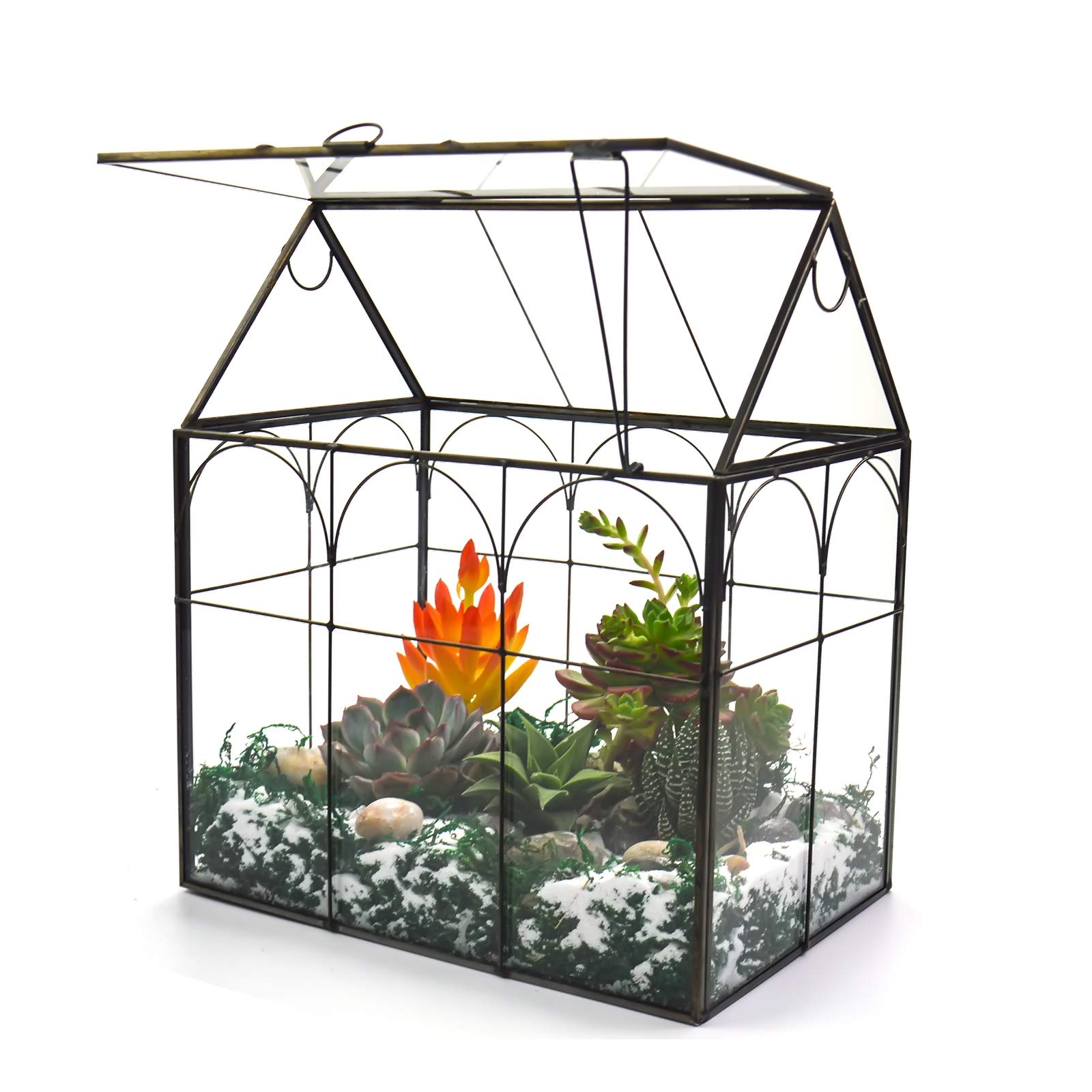 Large Glass Terrarium for Plants - 8.7x5.9x10.6 Inch Tall Greenhouse with Lid, Indoor Tabletop Display for Orchids, Succulents & Cacti - Perfect for Home Decor, Office Desk or Gift (Black)
