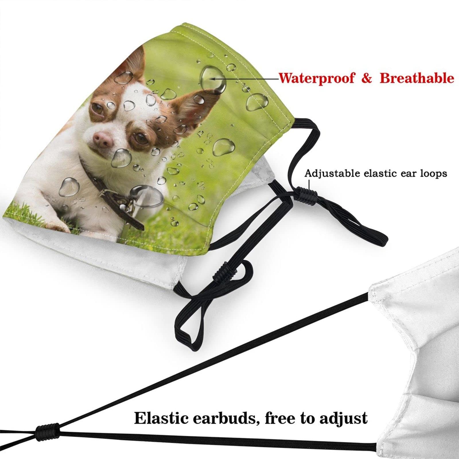 Custom Personalized Face Masks for Adults - Photo/Text Printed Reusable Cloth Masks for Men & Women - Ideal for Outdoor Activities, Travel, and Daily Protection
